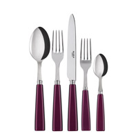 Sabre Paris - Icone (a.k.a. Natura) 5-piece Place Setting