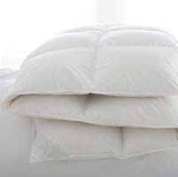 Vienna Polish White Goose Down Comforter by Scandia Home