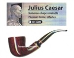 Julius Caesar