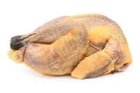 Guinea Fowl Meat is moist, very lean, tender and flavorful. Guinea fowl meat is white like chicken but its taste is more reminiscent of pheasant, without excessive gamey flavor.