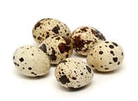 Quail Eggs - 100 Eggs for food