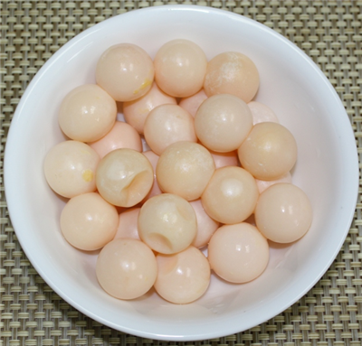 Snapping Turtle Eggs - 12 Eggs - Frozen