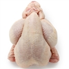 Poussin - Semi Bone Less - 2 Birds (13 to 15 oz. Each)