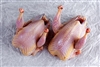 Quail Breast Boneless Medallions - 24 Medallions