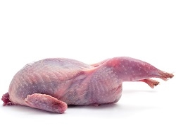 Quail, meat is very lean, rich in color, with a delicate game flavor. Raised in a free-range environment on natural, wholesome grains, they marinate very well, and should be cooked quickly over high heat either grilling, broiling, or sautÃ©ing.