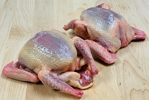 Dressed for market 4 weeks after hatching, the meat of a Squab is distinctly unlike domestic poultry or wild game birds. Dark, moist and flavorful, each bird is prepared for market before it is old enough to fly. Dark, moist, flavorful and Powerful Meat.