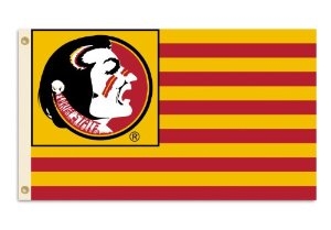 FLORIDA STATE 3FT X 5FT