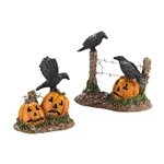 DEPARTMENT 56 HALLOWEEN VILLAGE HALLOWEEN RAVENS