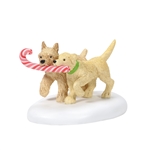 Department 56 Village Peppermint Pups