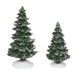 Department 56 Christmas Spruces