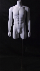 Torso Display Form from www.zingdisplay.com