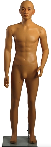 Asian Male Mannequin 5'6" tall