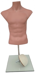 Headless Caucasian Male Small Size Half-Body Form