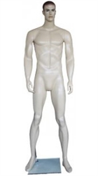 6'4" Realistic Muscular Male FIberglass Mannequin from www.zingdisplay.com. Standing pose with arms at his side. Durable Fiberglass ideal for trade shows or busy showrooms.