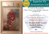 Superior Fit PREMIUM Sleeves for Beckett Graded Card Holders (50) *501*