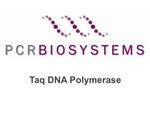 PB10.11-05 PCR Biosystems PCRBio Taq DNA Polymerase, 500 units