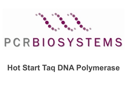 PB10.21-10 PCR Biosystems PCRBio HS Taq DNA Polymerase