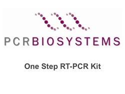 PB10.52-05 PCR Biosystems PCRBio 1-Step RT-PCR Kit, End point PCR from RNA, 50 reactions, [1x1.25ml mix] & [1x1.25ul RTase]