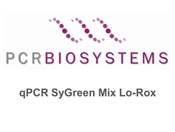 PB20.11-50 PCR Biosystems qPCRBio SyGreen Mix Lo-ROX, SyGreen real-time PCR, [5000x20ul rxns] [50ml]
