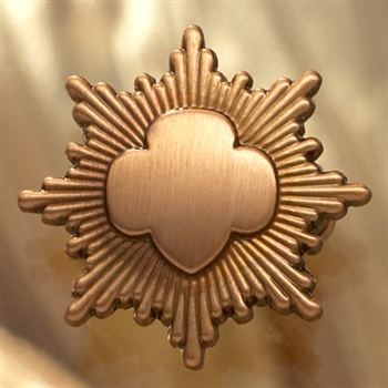 Bronze Award Pin