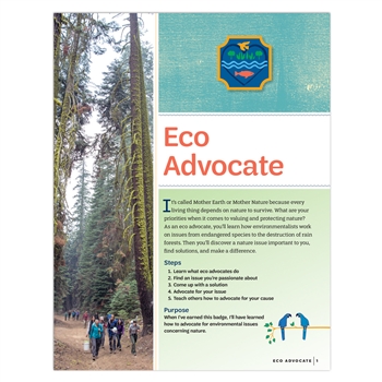 Ambassador Eco Advocate Badge Requirements