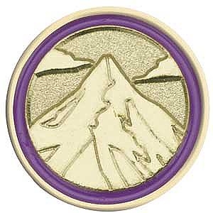 Junior Journey Summit Award Pin