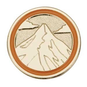 Senior Journey Summit Award Pin