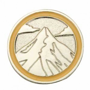 Ambassador Journey Summit Award Pin