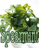 Spearmint Flavoring DIY