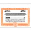 Short Form Orange Stock Certificate