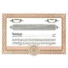 Short Form Brown Stock Certificate