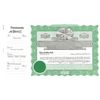 Goes 214 Stock Certificate