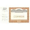 Goes 500 Common Stock Certificate