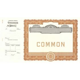 Goes 500 Common Stock Certificate