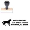 Horse Crystal Radio Kit Customized Address Stamp