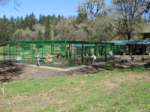 42'W x 62'D x 10'H Powder Coated Exotic Animal Enclosure