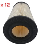 Filter Cartridge With Gaskets {carton of 24}