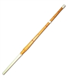 Shinai