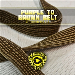 Robson Moura Requirements 2.0 - Brown Belt - NEW (DIGITAL)