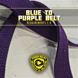Robson Moura Requirements 2.0 - Purple Belt (DIGITAL)