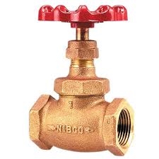 Globe Valve