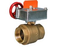 Victaulic FireLock Ball Valve