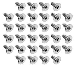 Image of 1967 - 1981 Wheel Well Moldings Screws Set