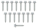 Image of 1967 - 1969 Firebird Rear Convertible Top Tack Strip Mounting Bolts Set, 17 Pieces