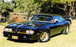 Ben Noakes 1978 Firebird Formula