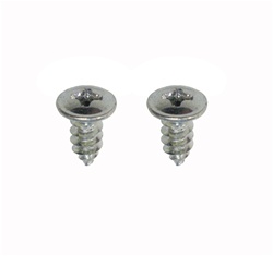 Image of 1968-1969 Door Jamb Vent Louver Screws, Pair