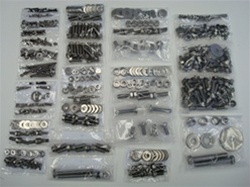 1967-1969 Body Bolt Kit Stainless Steel