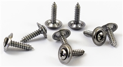 Image of 1967 - 1971 Firebird or Trans Am Original Style Lower Door Panel Screws Set, 8 Pieces