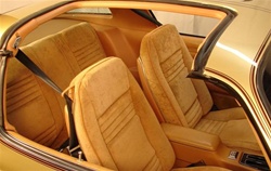 Image of 1978 Firebird Basic Interior Kit with Deluxe Custom Cloth Interior & T-Tops