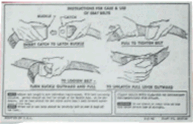 Firebird Seat Belt Instruction Information Card, 3855739